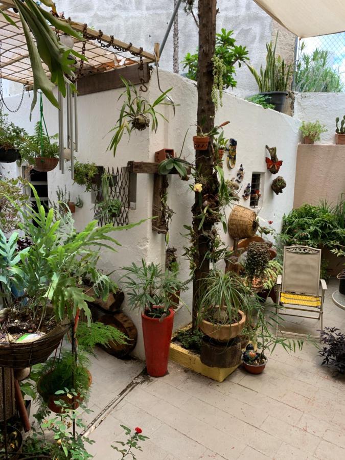 Casa La Minerva Daire Guadalajara Dış mekan fotoğraf