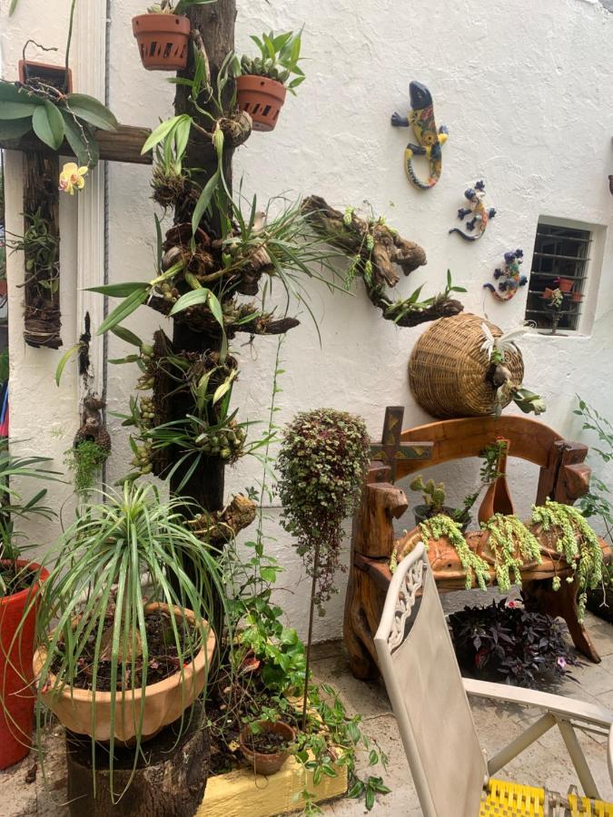 Casa La Minerva Daire Guadalajara Dış mekan fotoğraf